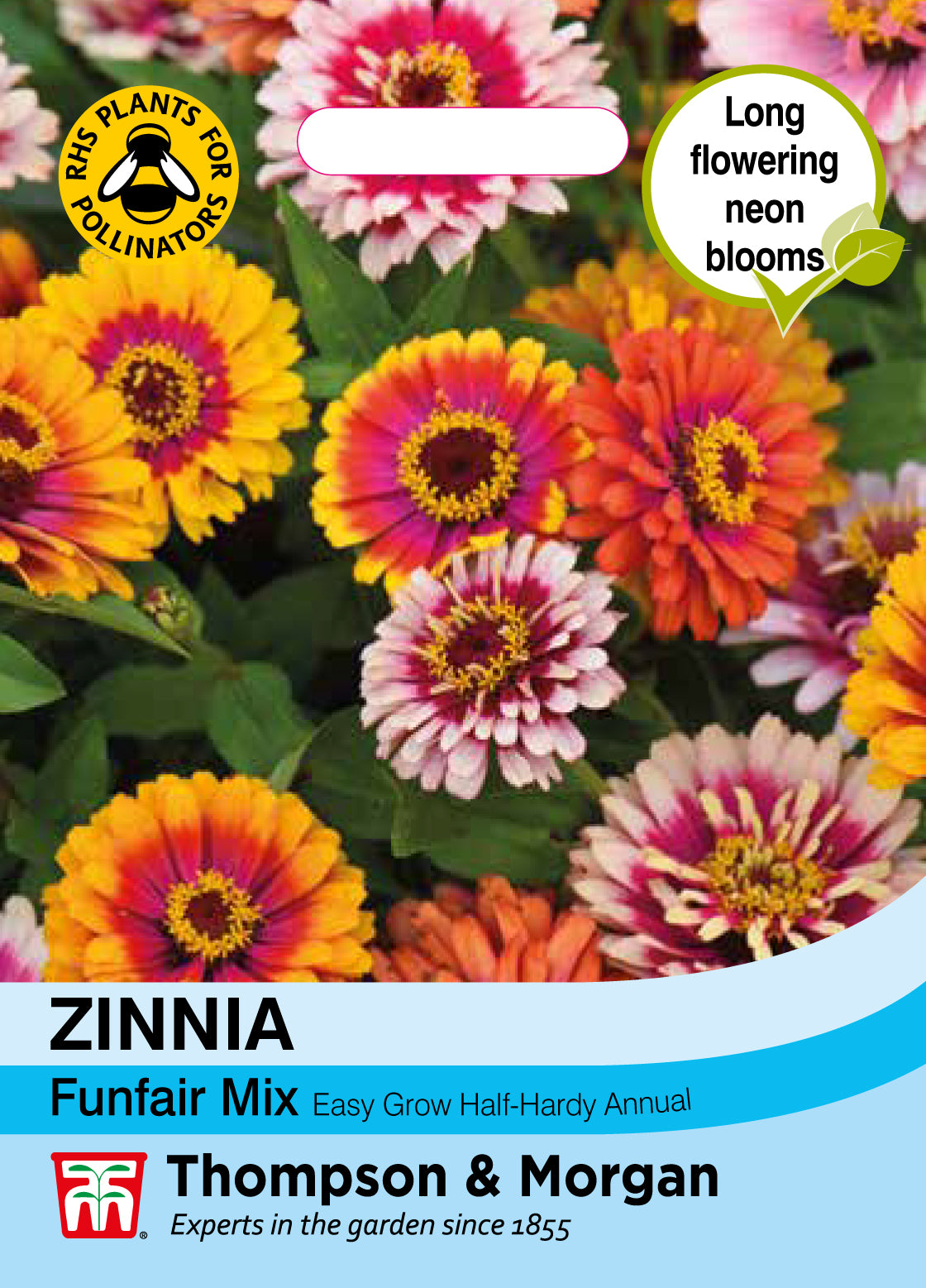 Thompson & Morgan - Zinnia Funfair Mix Seeds