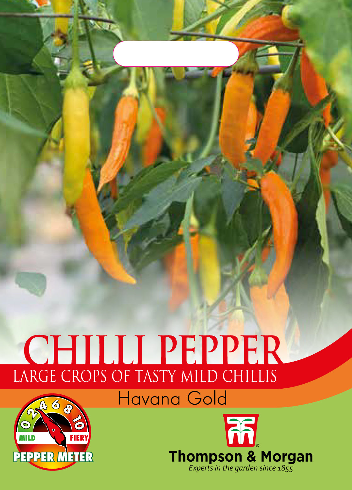 Thompson & Morgan - Pepper Chilli Havana Gold Seeds