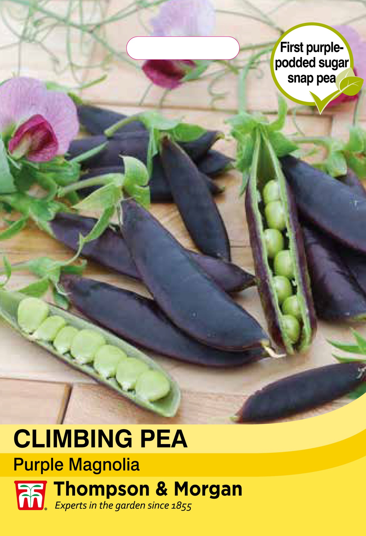 Thompson & Morgan - Pea Snap Climbing Purple Magnolia Seeds