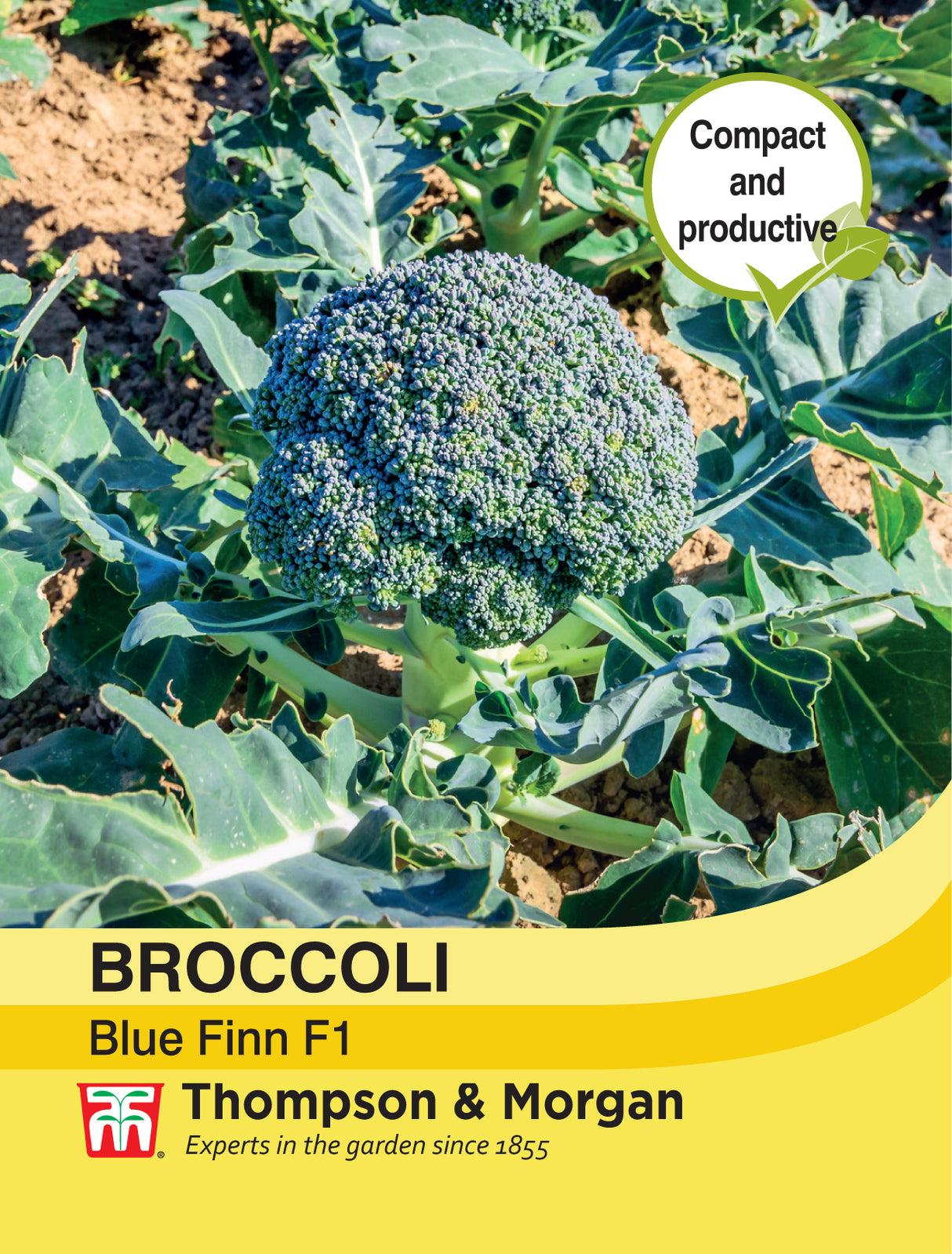 Thompson & Morgan - Broccoli Blue Finn F1 Seeds