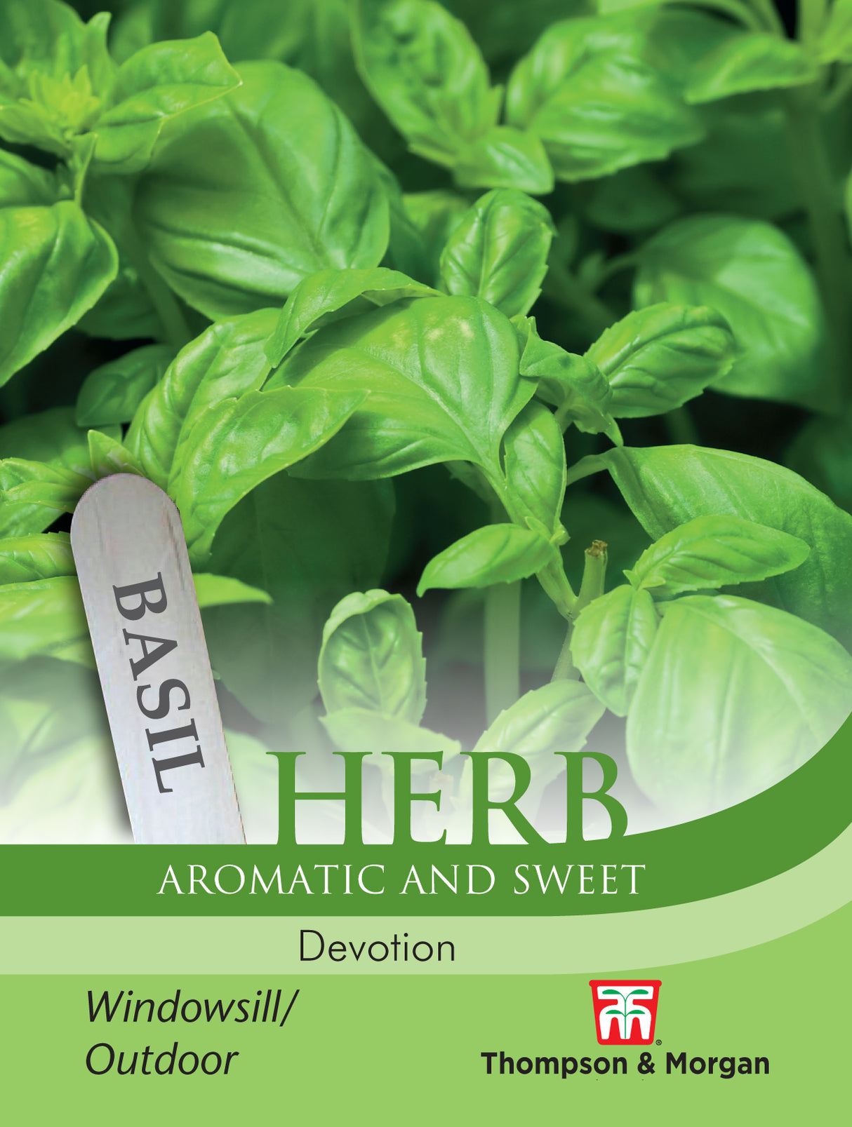 Thompson & Morgan - Herb Basil Devotion Seeds