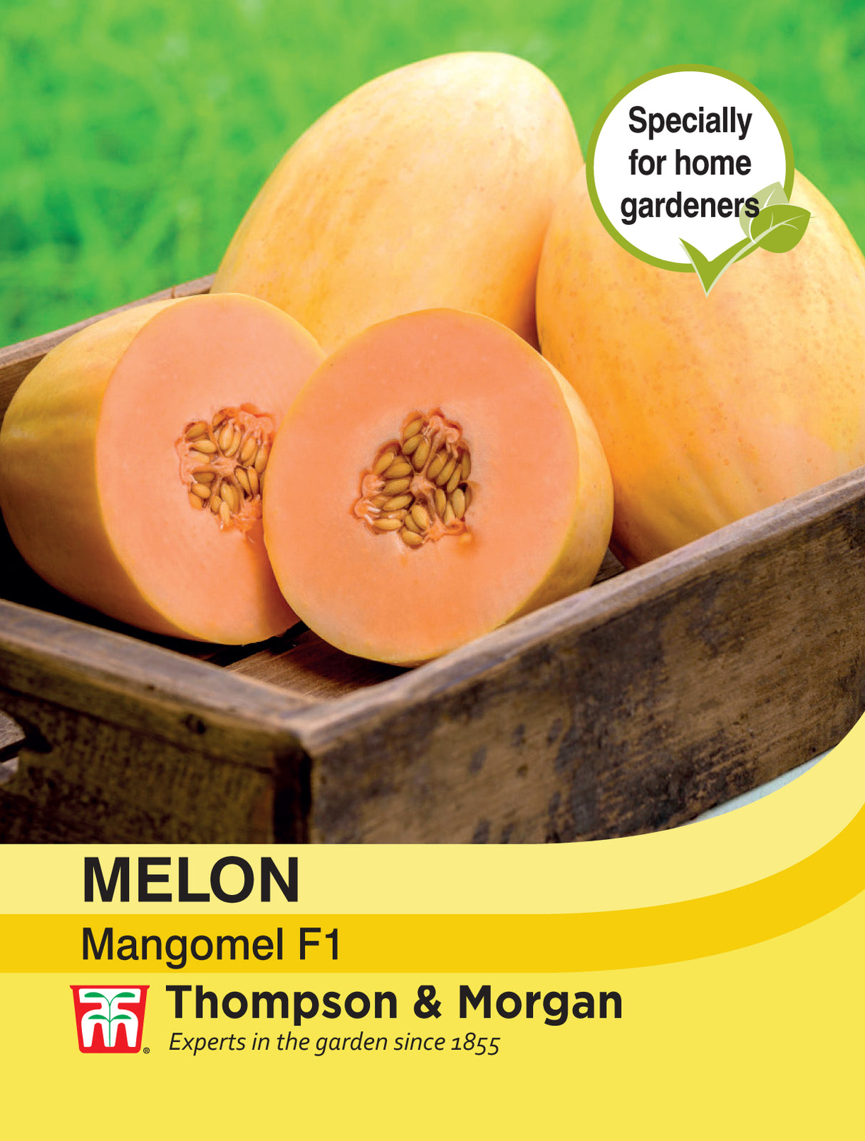 Thompson & Morgan - Melon Mangomel F1 Seeds