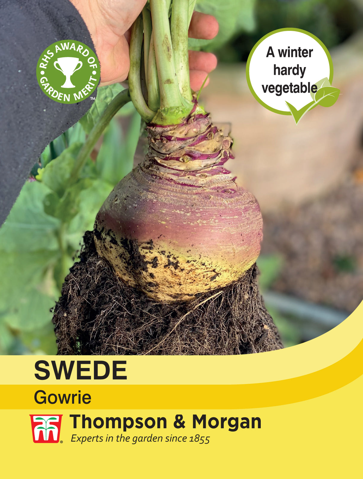 Thompson & Morgan - Swede Gowrie Seeds