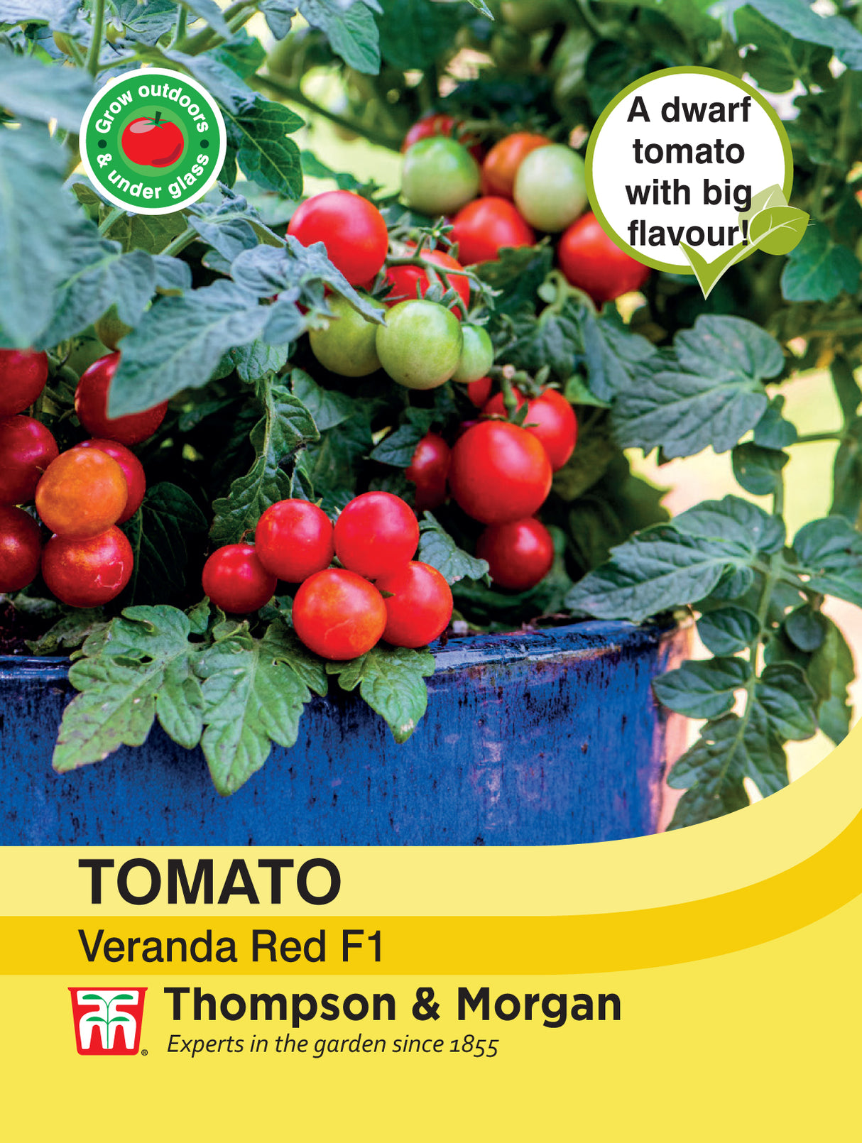 Thompson & Morgan - Tomato Veranda Red Seeds