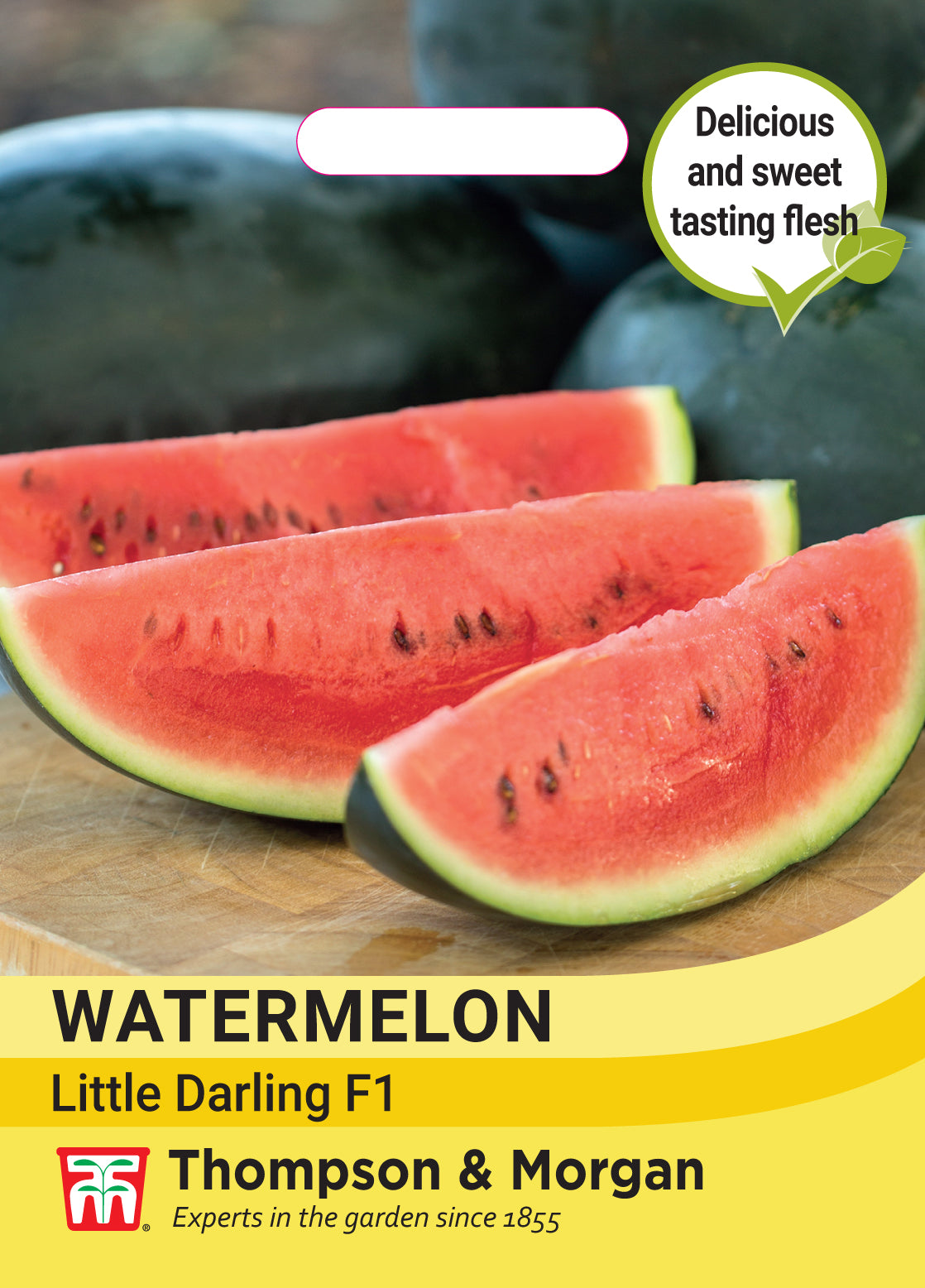 Thompson & Morgan - Watermelon Little Darling F1 Seeds