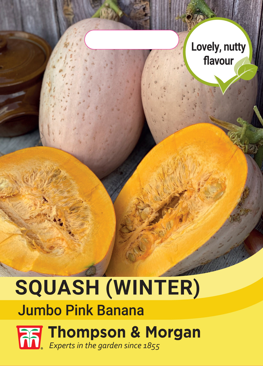 Thompson & Morgan - Squash Winter Jumbo Pink Banana Seeds