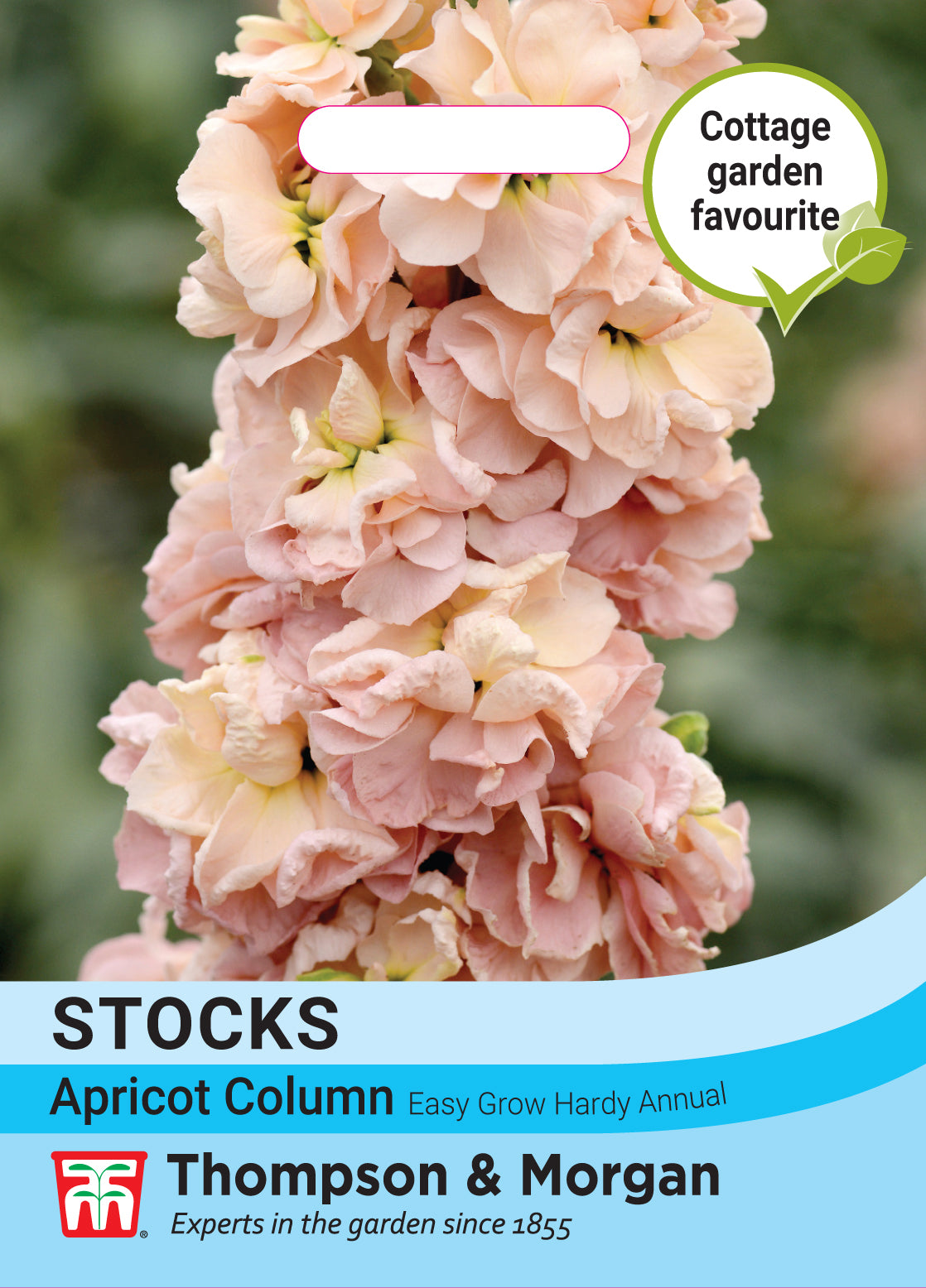 Thompson & Morgan - Stock Apricot Column Seeds