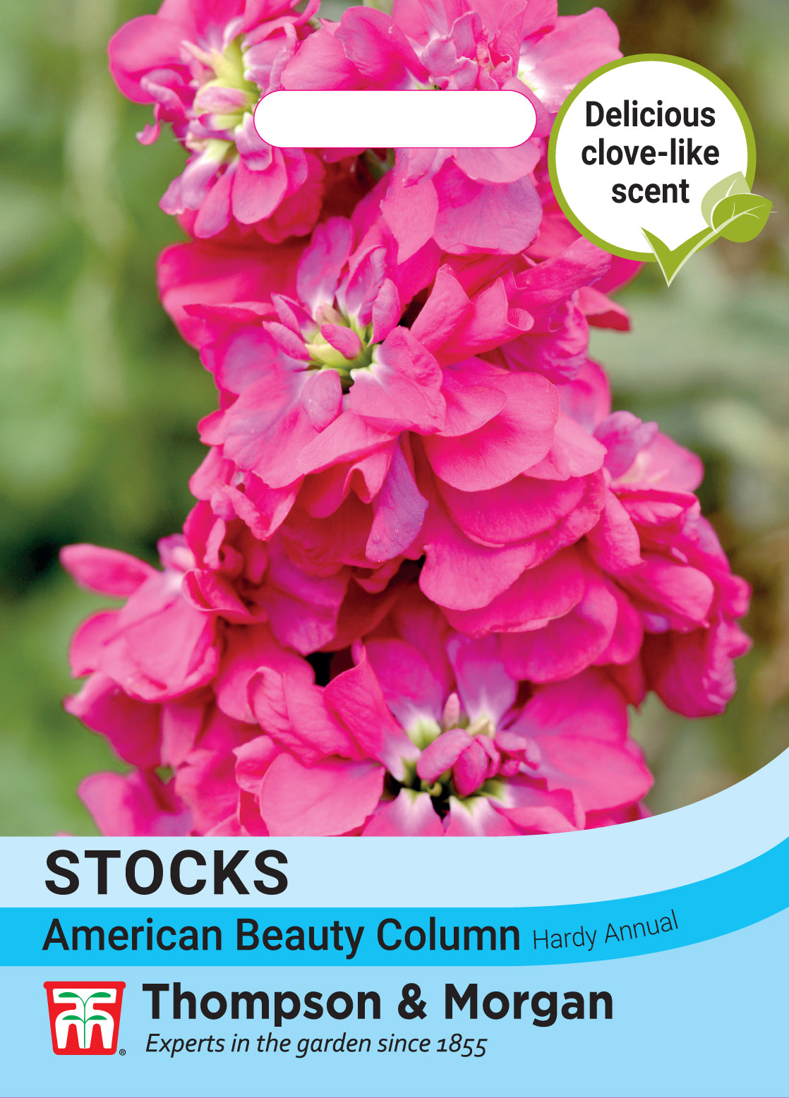 Thompson & Morgan - Stock American Beauty Column Seeds