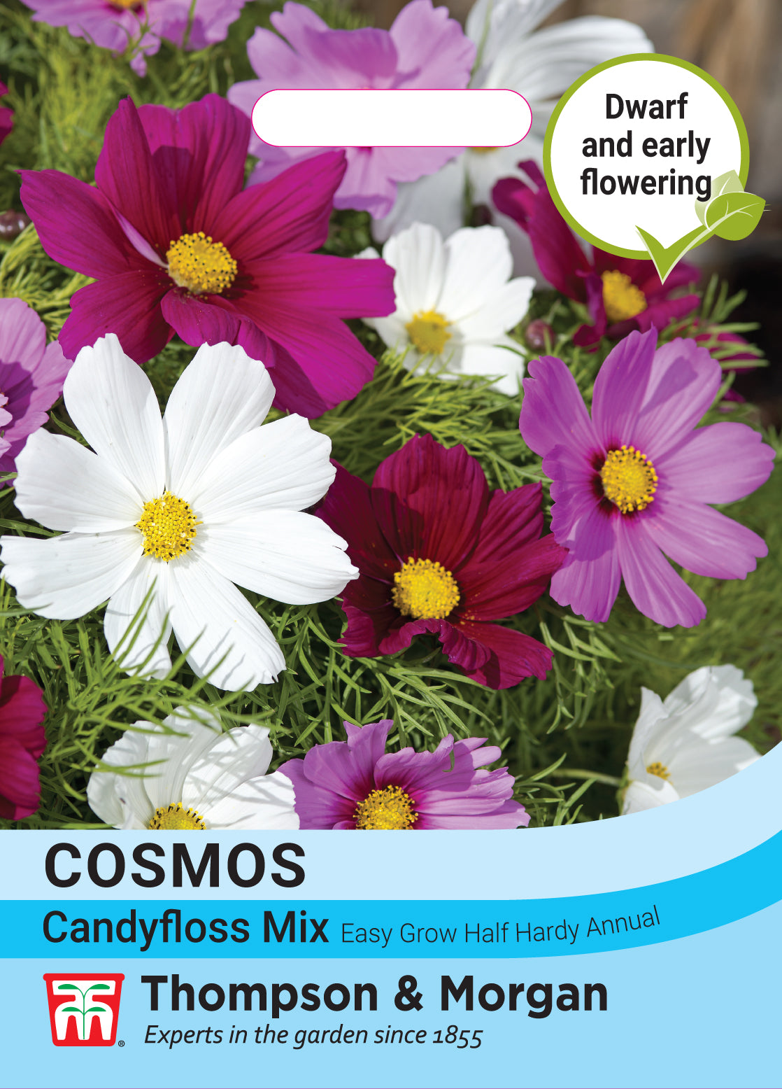 Thompson & Morgan - Cosmos Bipinnatus Candyfloss Mix Seeds