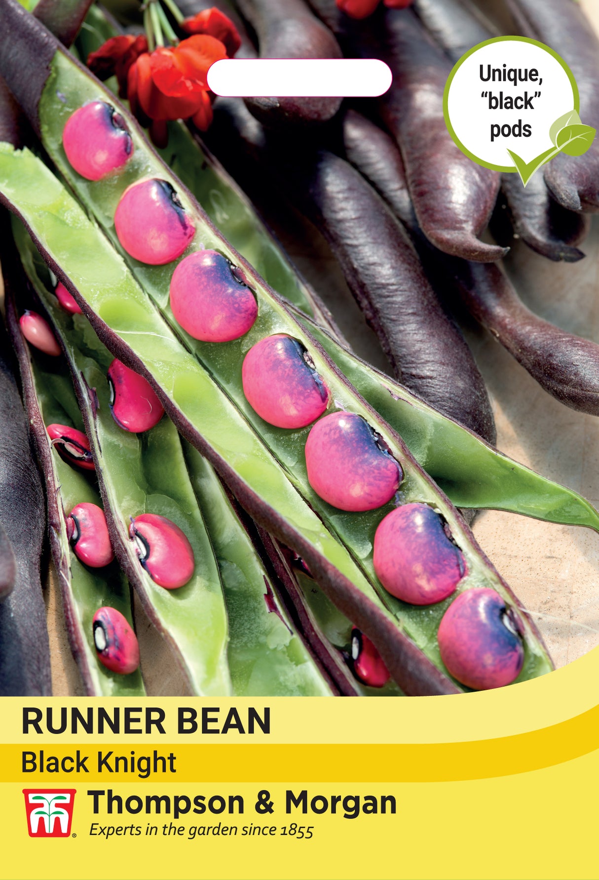 Thompson & Morgan - Bean Runner Black Knight Seeds