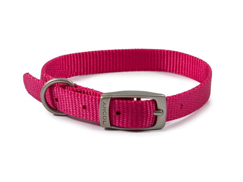 Ancol Viva Nylon Collar in Black 12" Size 1