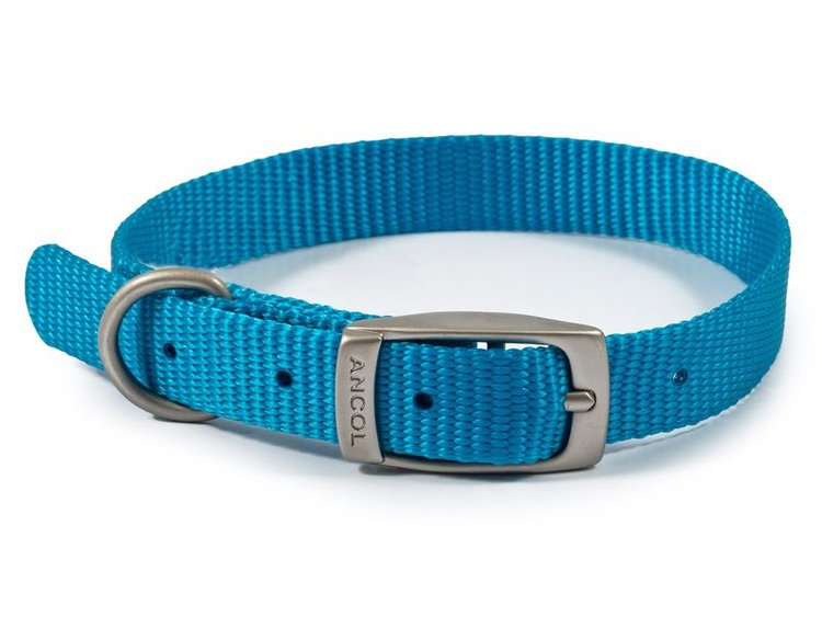 Ancol Viva Nylon Collar in Blue 12" Size 1
