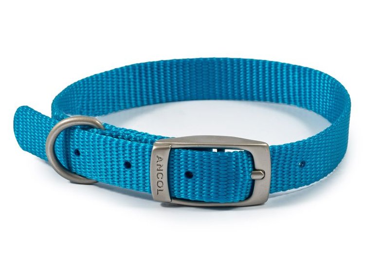 Ancol Viva Nylon Collar in Blue 14" Size 2