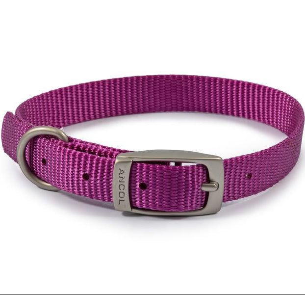 Viva Nylon Collar Purple 14" Size 2