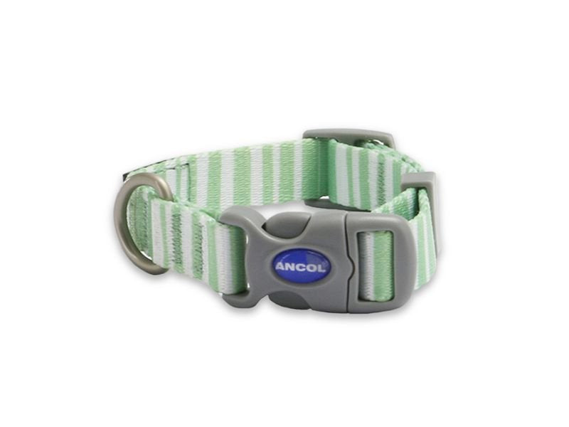 Ancol Soho Stripe Collar Size 1-2