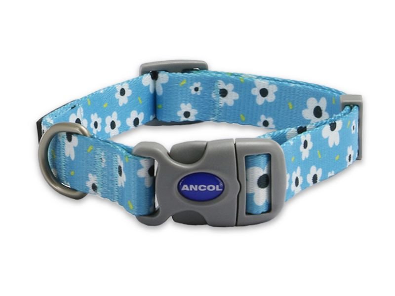 Ancol Soho Daisy Collar Size 1-2