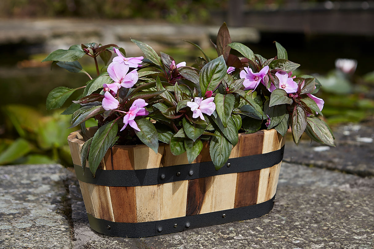 Tom Chambers Applewood Trough Planter Large