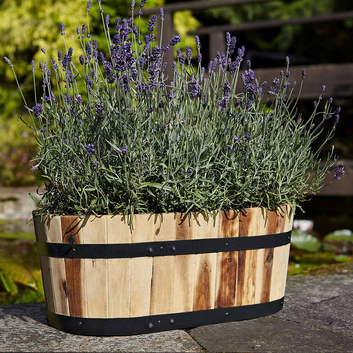 Applewood Trough Planter Small