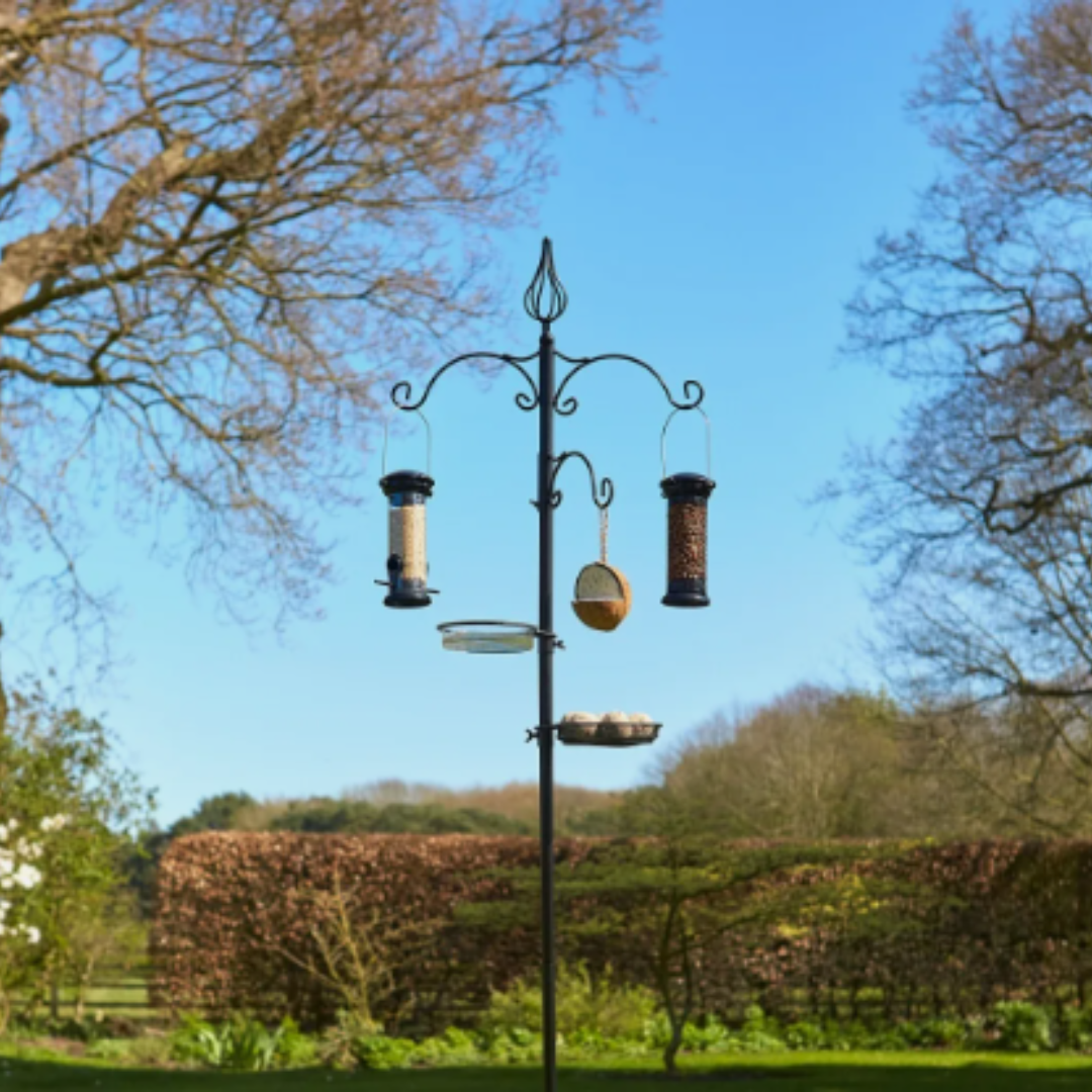 Tom Chambers All Season Bird Feeding Station