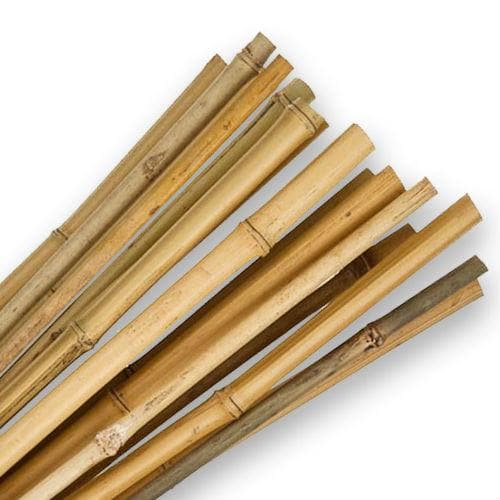 Bamboo Canes 4ft Pack of 10
