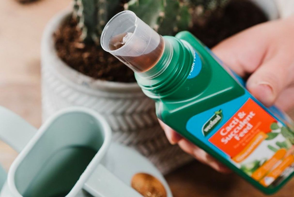 Cacti & Succulent Feed Concentrated 200ml