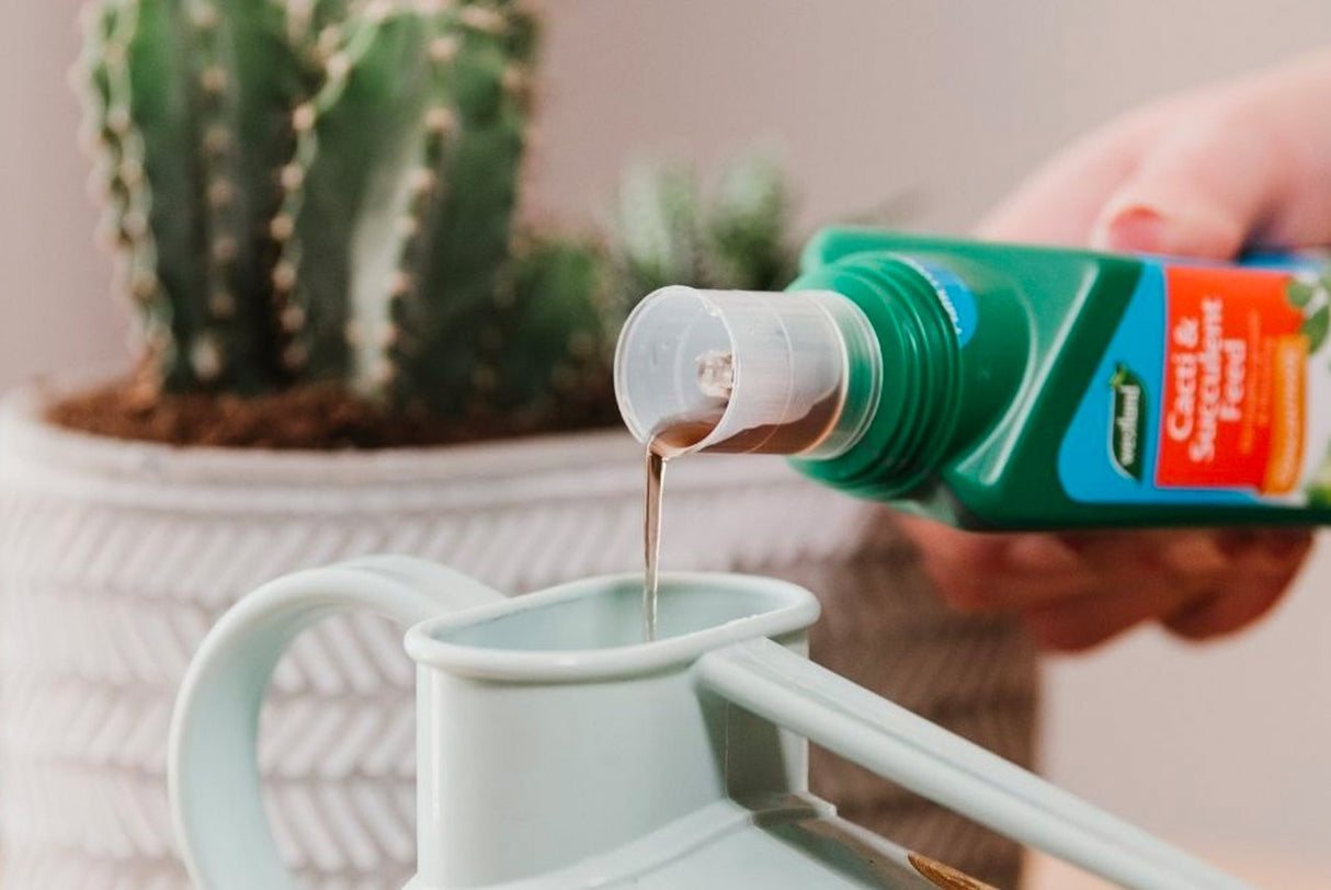 Cacti & Succulent Feed Concentrated 200ml