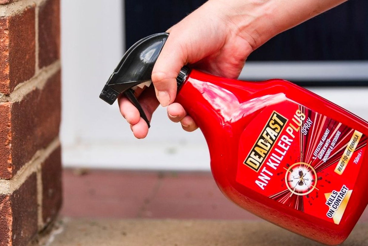 Dead Fast Ant Killer Plus Spray