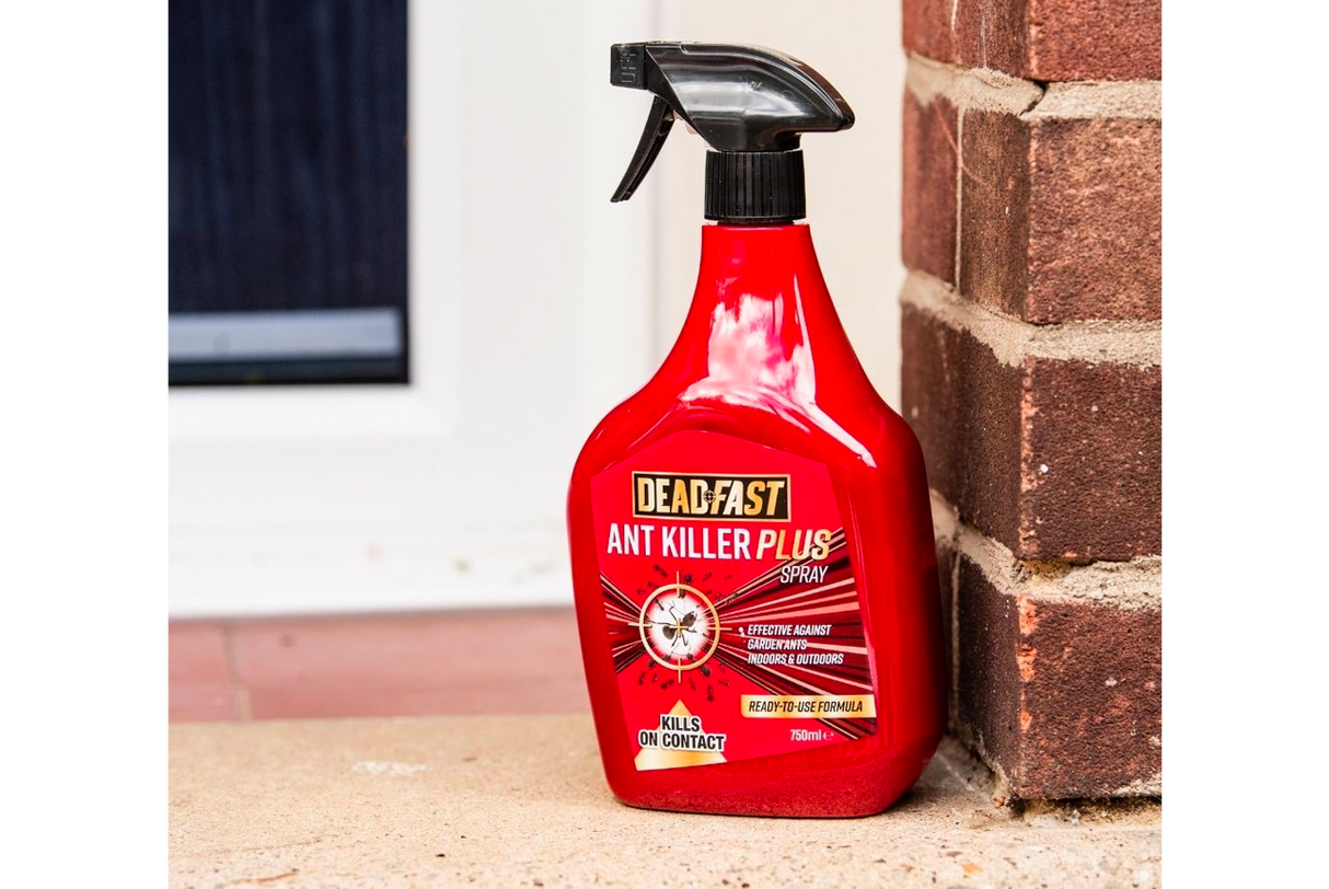 Dead Fast Ant Killer Plus Spray