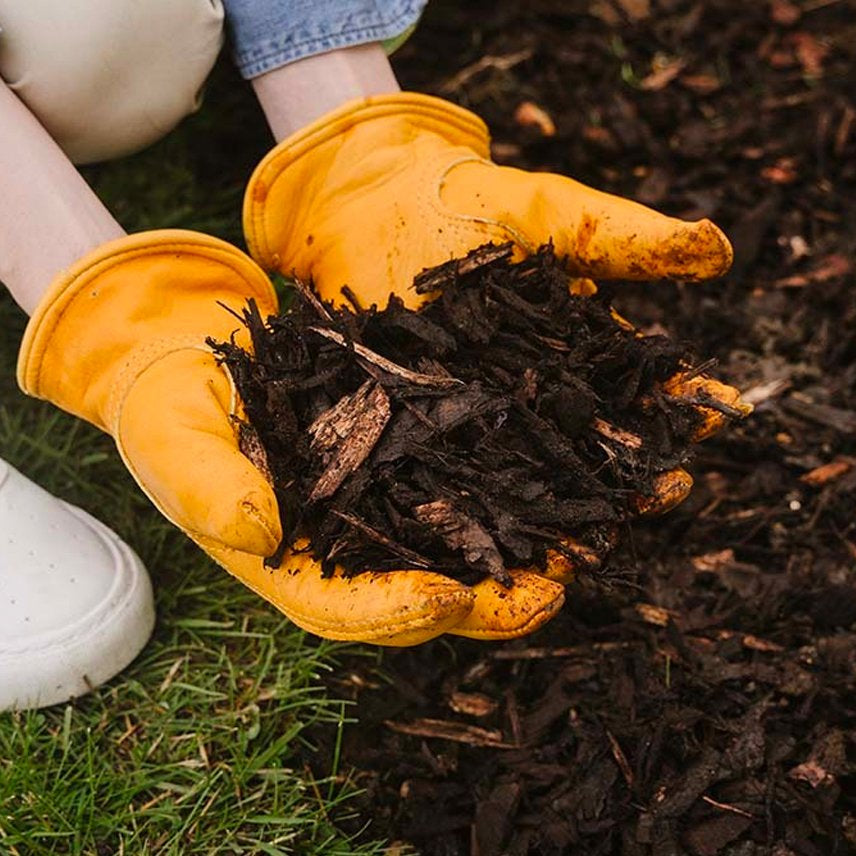 Westland Decorative Mini Bark 70L