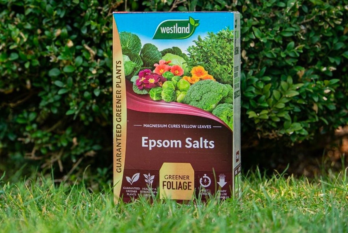 Epsom Salts 1.5KG Box