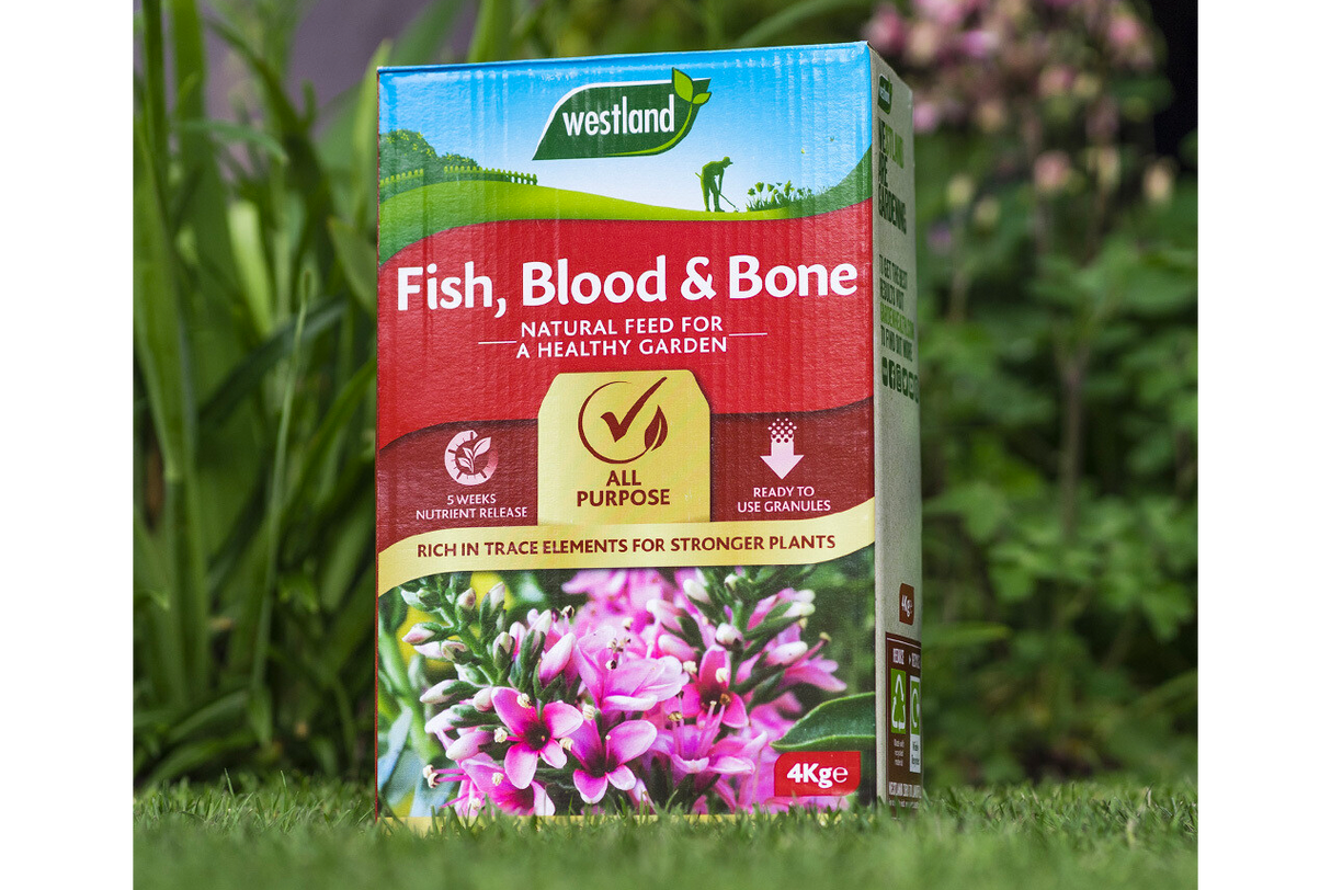 Fish Blood And Bones 1.5kg