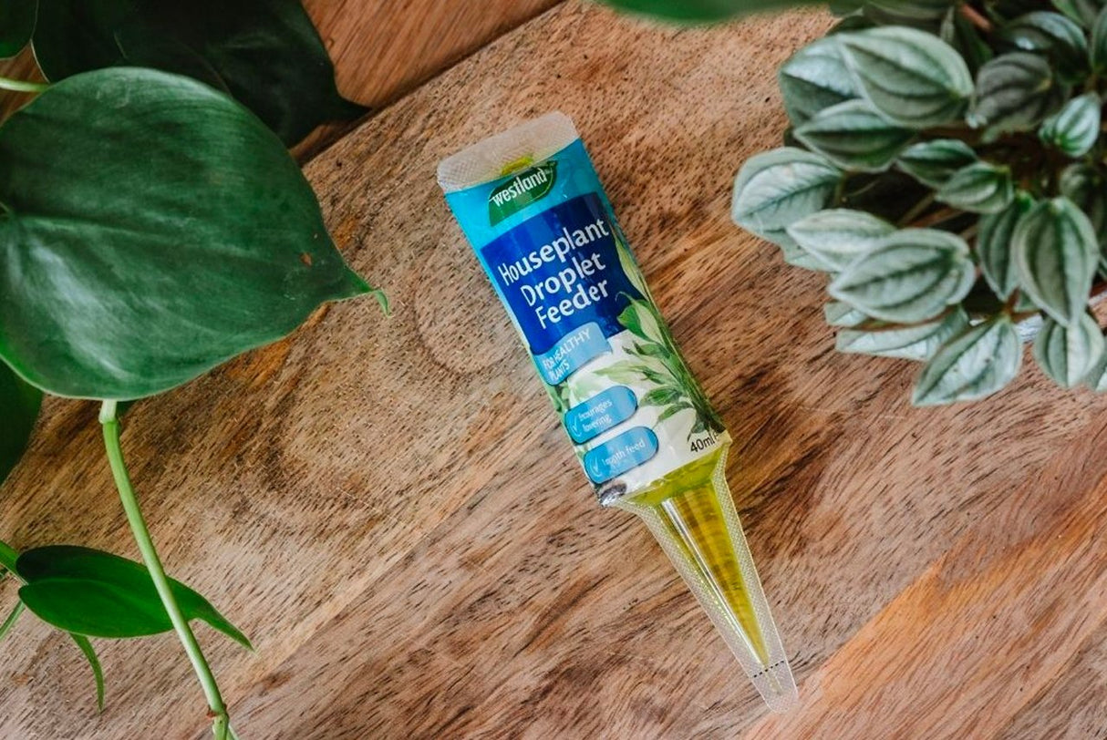 Houseplant Droplet Feeder 40ml