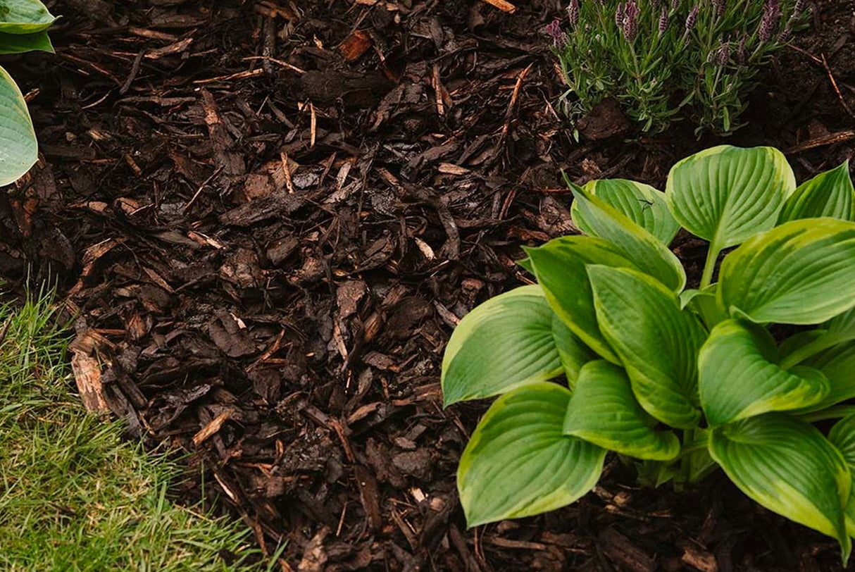 Landscape Bark 90L