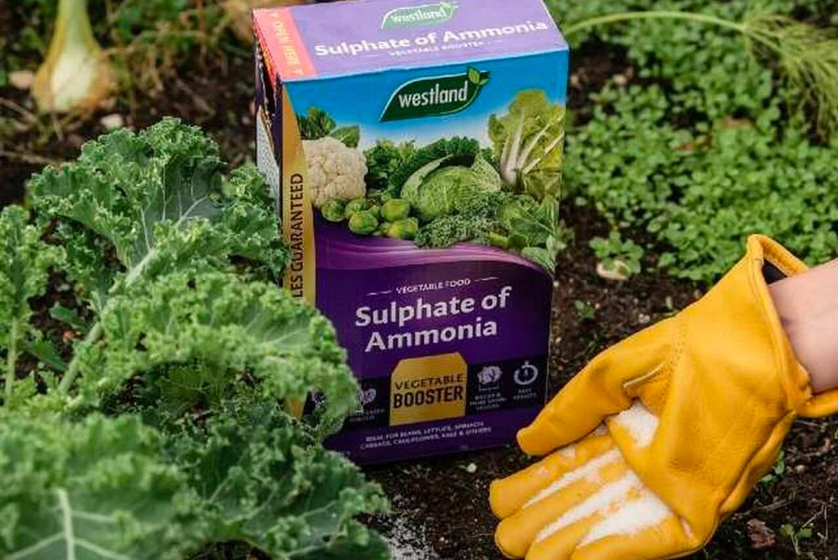 Sulphate of Ammonia 1.5KG