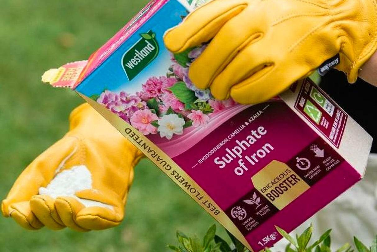 Sulphate of Iron 1.5KG