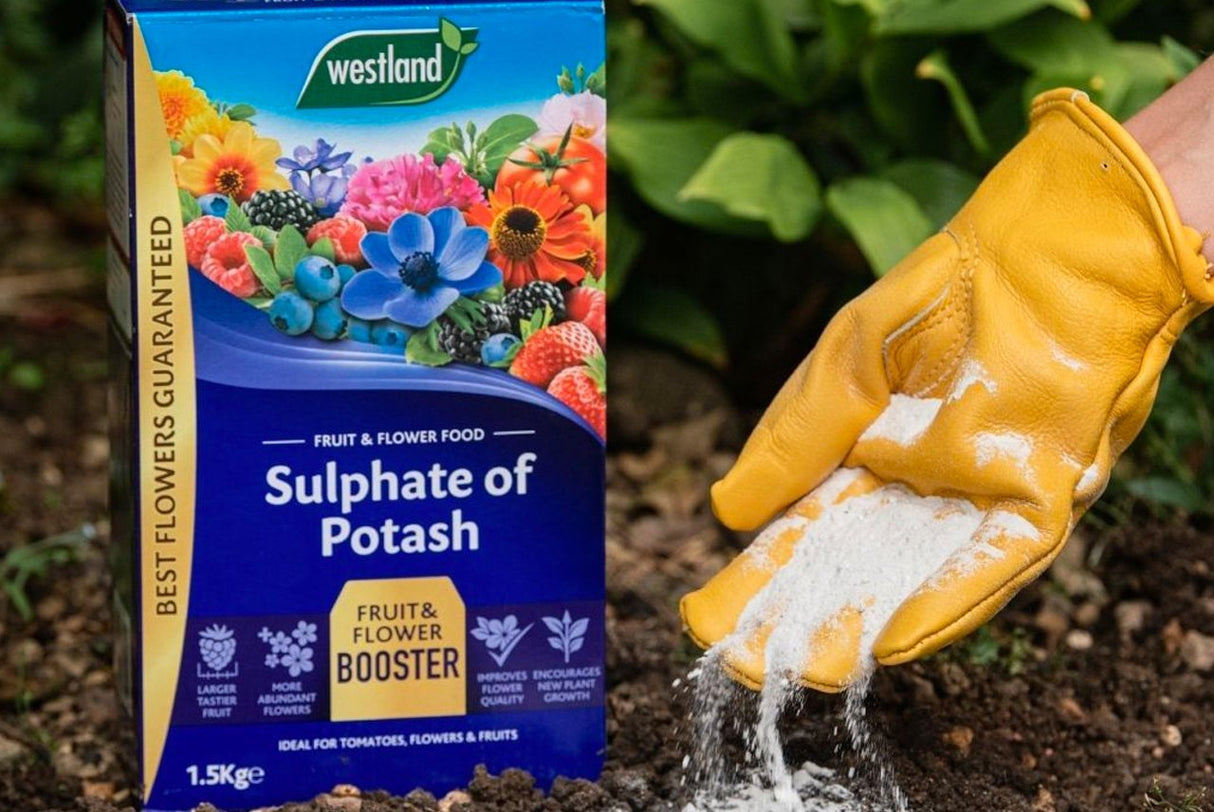 Sulphate of Potash 1.5KG