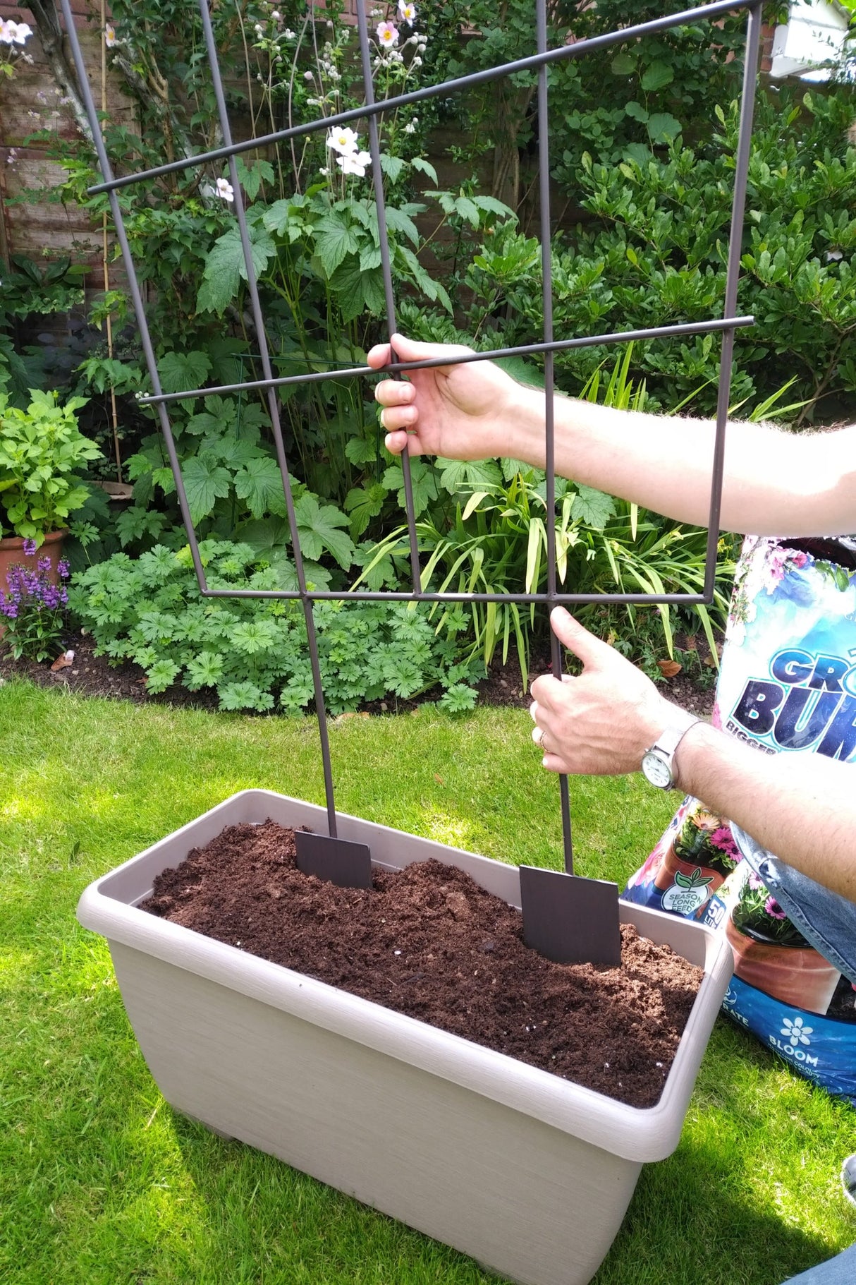 Trough Trellis Medium