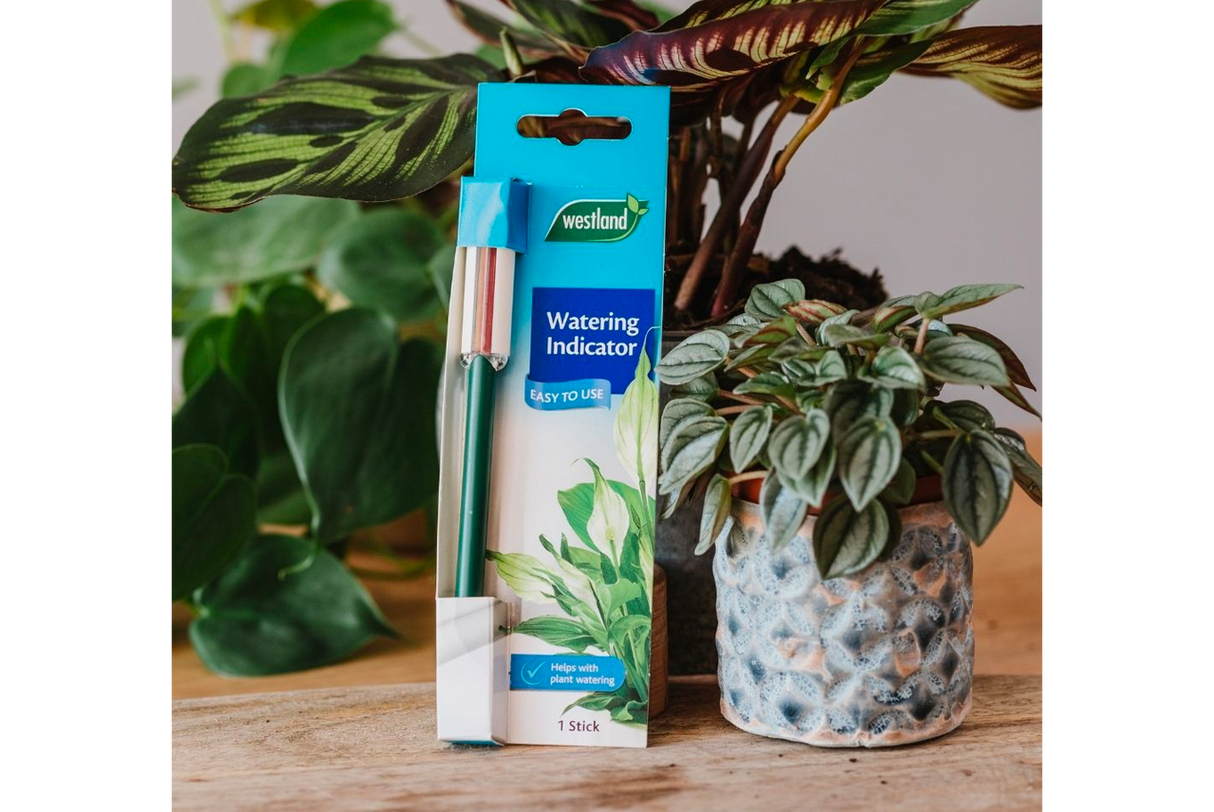 Water Indicator Small