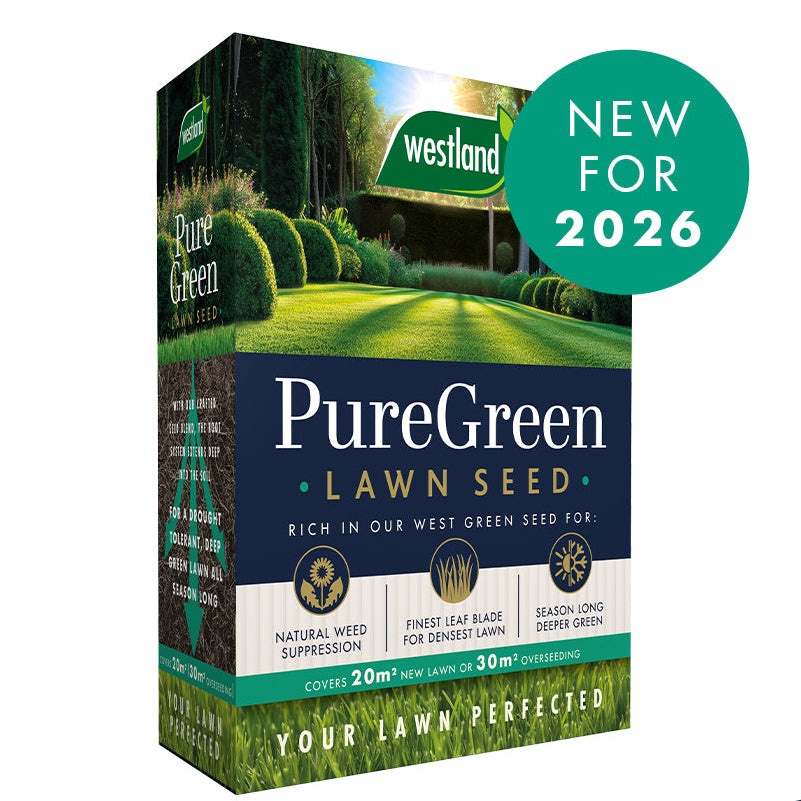 Westland PureGreen Lawn seed 20m²