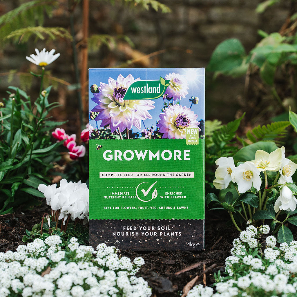 Westland Growmore 4kg