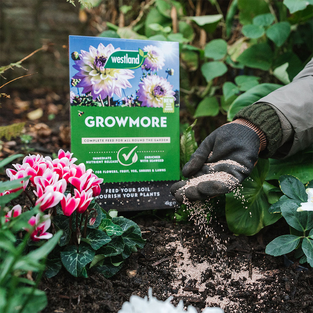 Westland Growmore 4kg