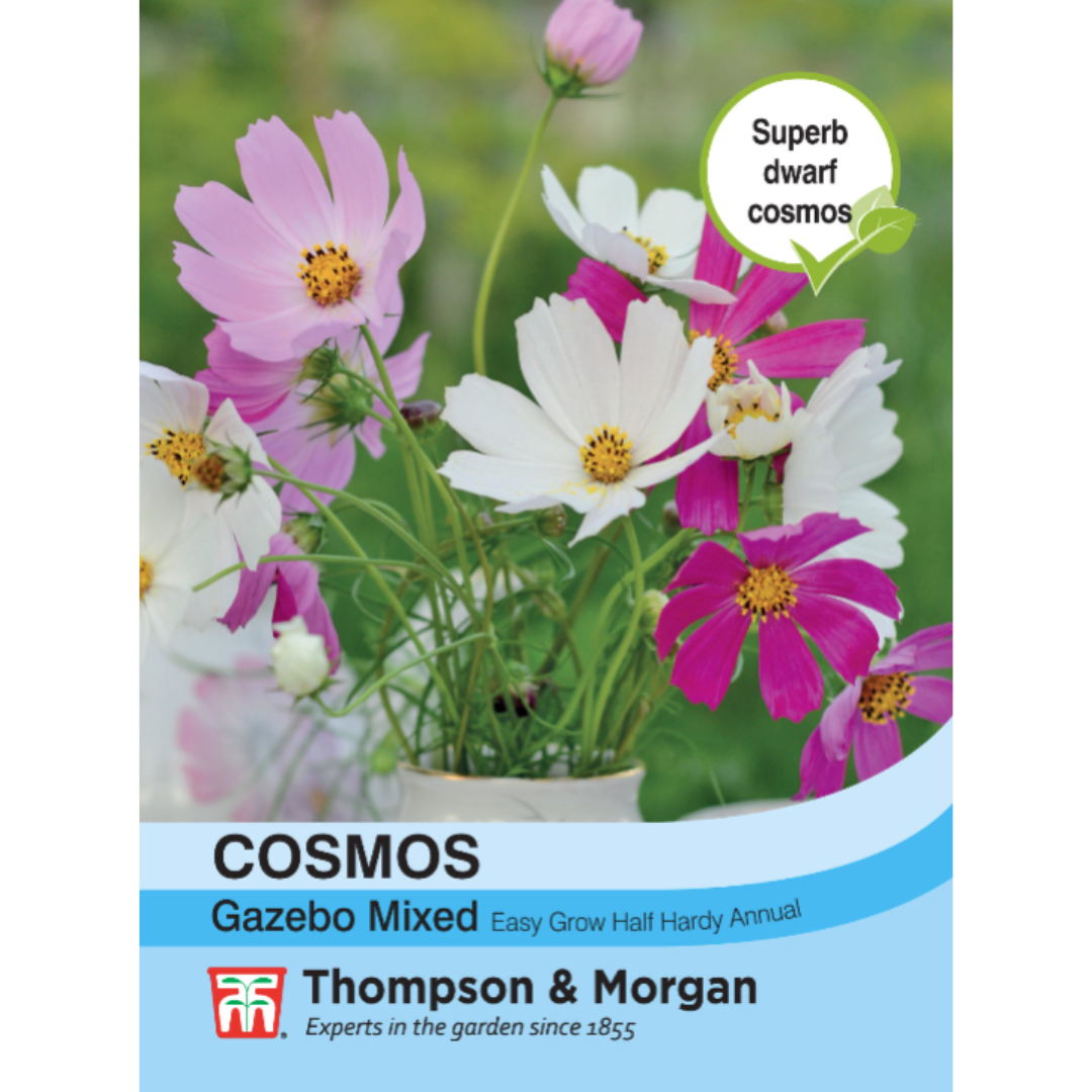 Thompson & Morgan - Cosmos Gazebo Mixture Seeds