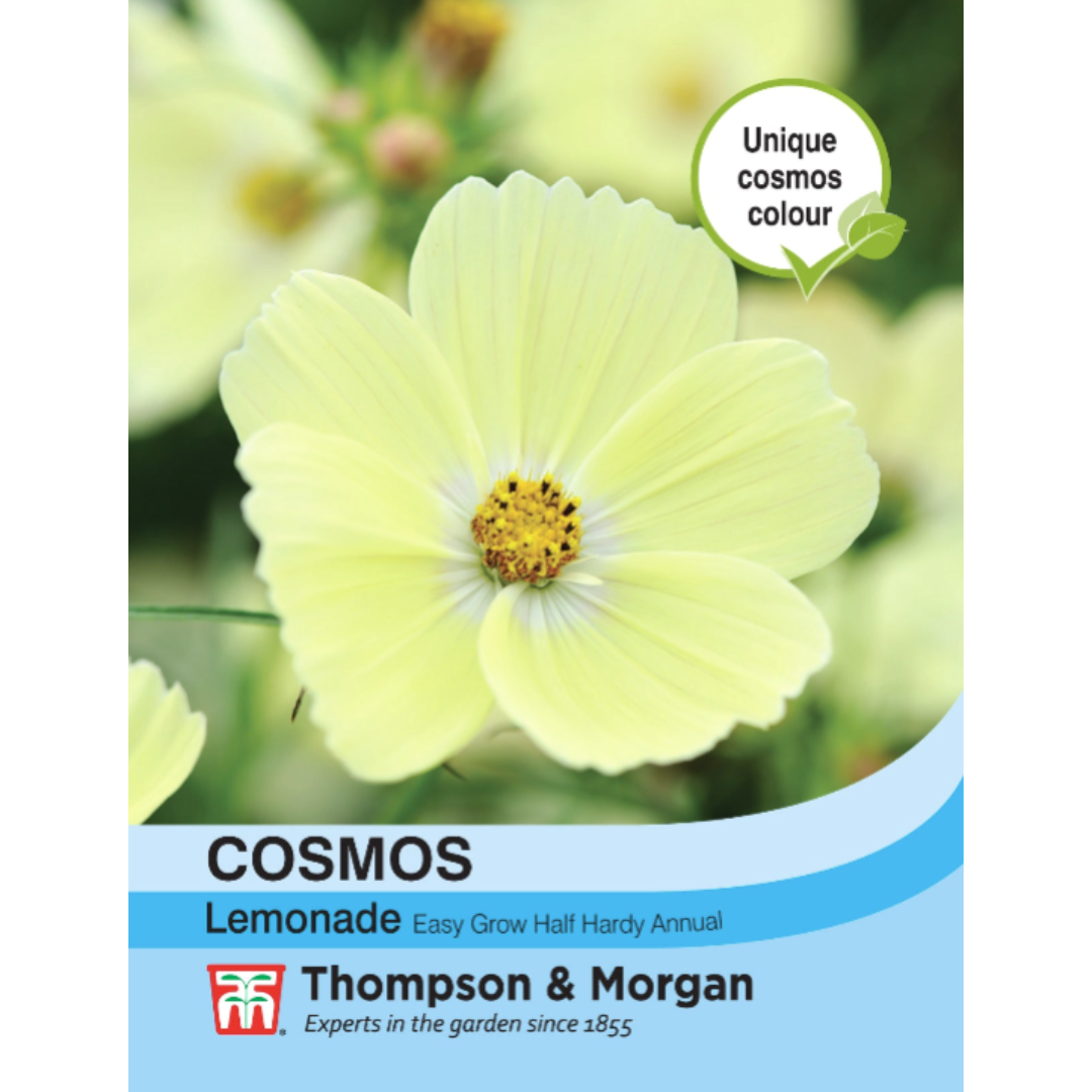 Thompson & Morgan - Cosmos Lemonade Seeds