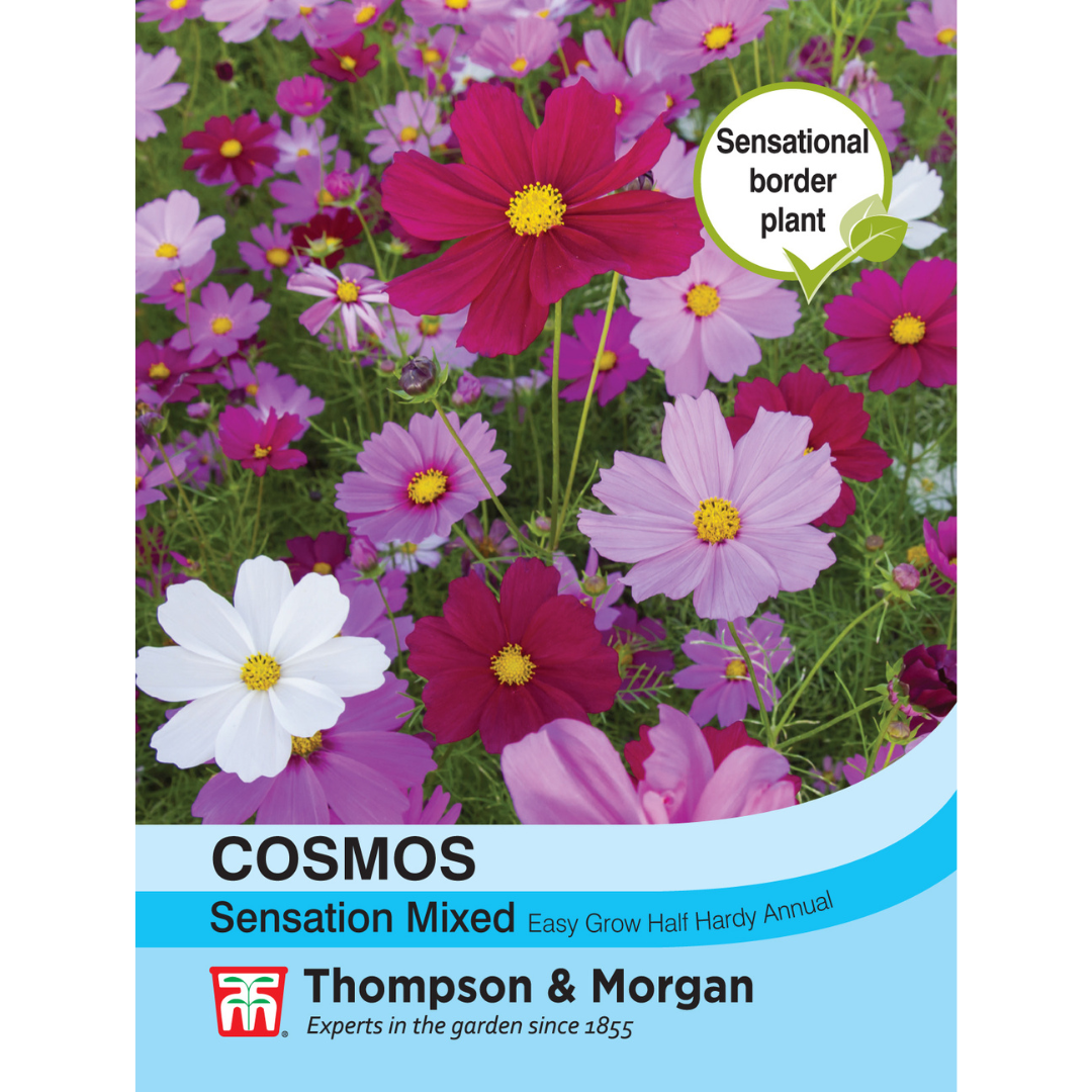 Thompson & Morgan - Cosmos Sensation Mixed Seeds