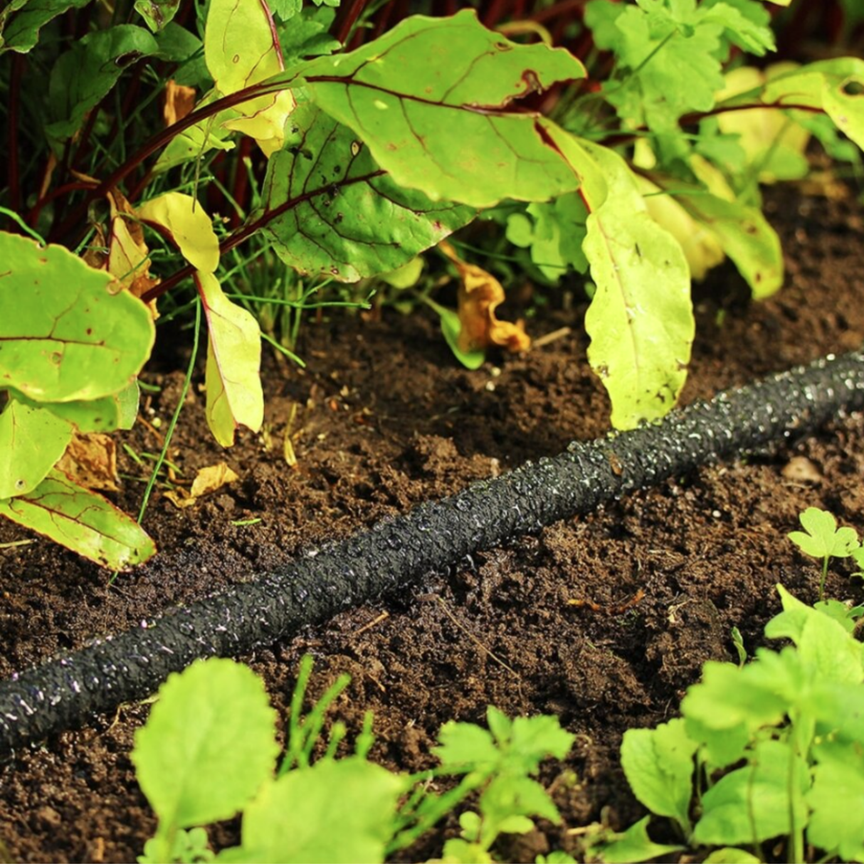 Flopro Soaker Hose 15m