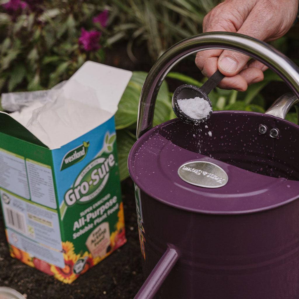 Gro-Sure All Purpose Soluble Plant Food