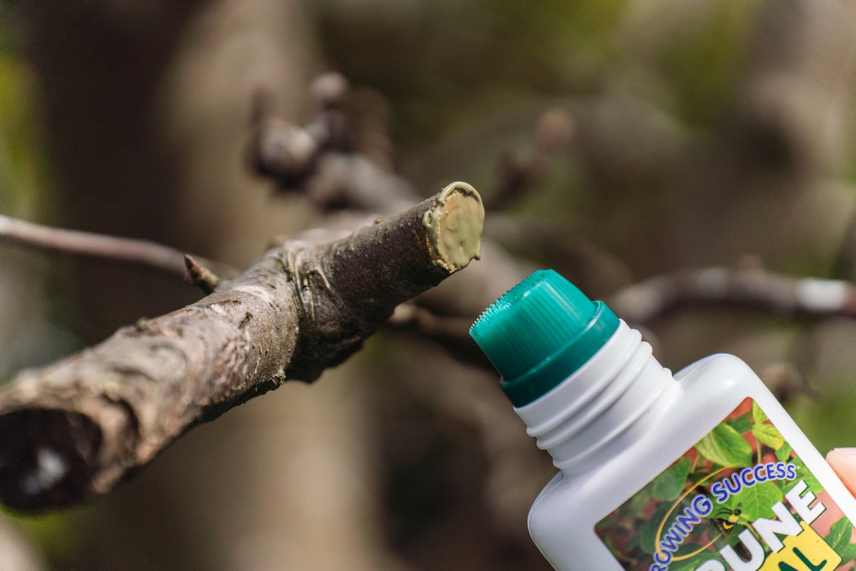 Growing Success Prune & Seal