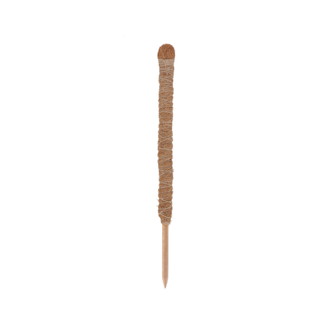 Esschert Design Coir Plant Support Stick