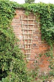 Fan Trellis 0.6m X 1.8m