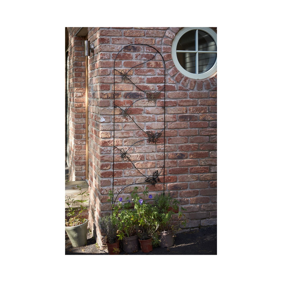 Tom Chambers Bee and Butterfly Trellis